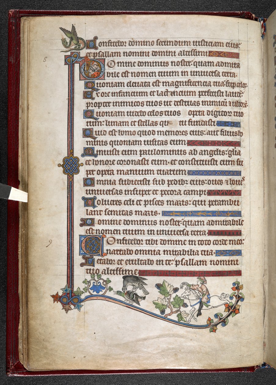 Añadir MS 24686, f.14v, Boy on pony con halcón cazando pato, c.1284-1316 (vitela) de English School