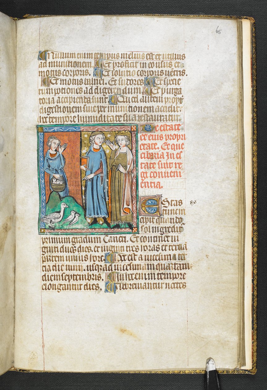 Añadir MS 47680, f.65r Aristóteles señalando pájaros traídos al rey, de Secretum Secretorum, c.1326-27 (vitela) de English School