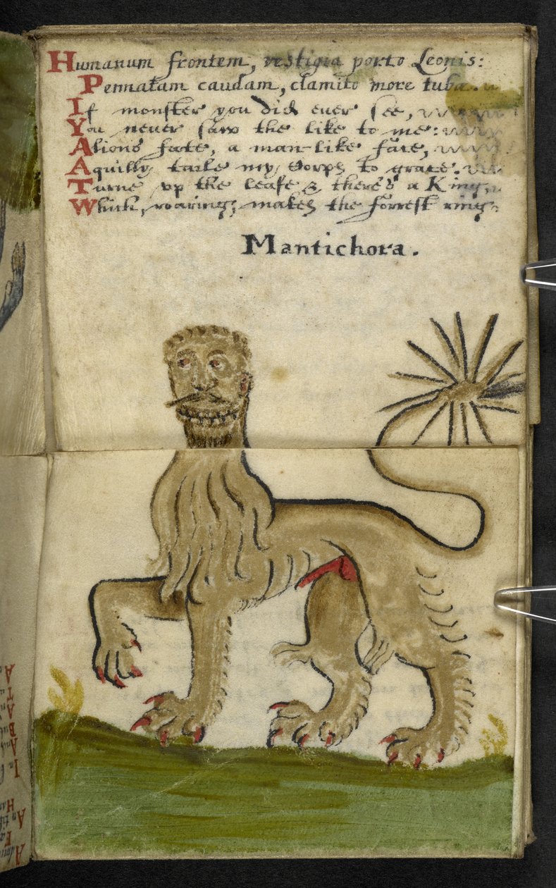 Añadir MS 57312 f.11 Game-book (tinta y color sobre papel vitela) de English School