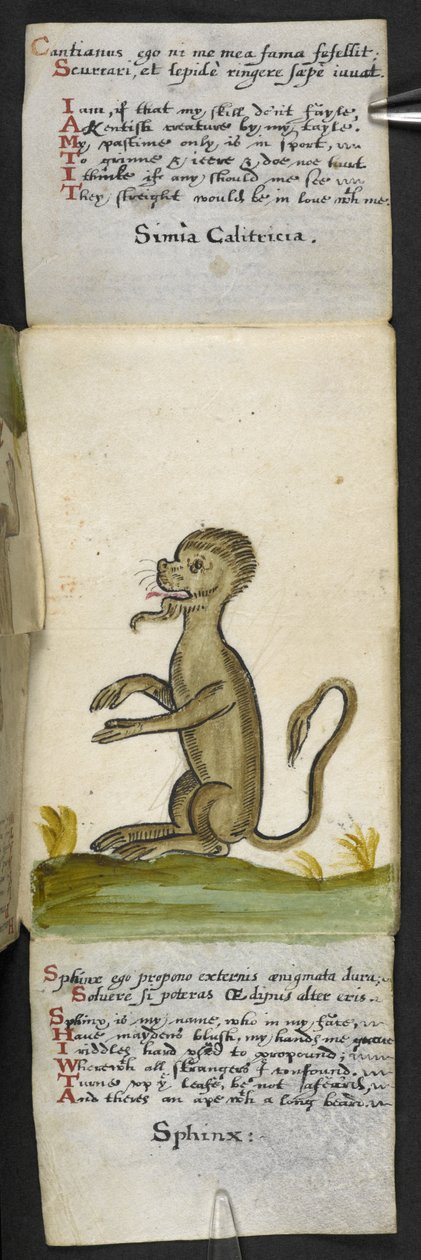 Añadir MS 57312 f.14 Game-book (tinta y color sobre vitela) de English School