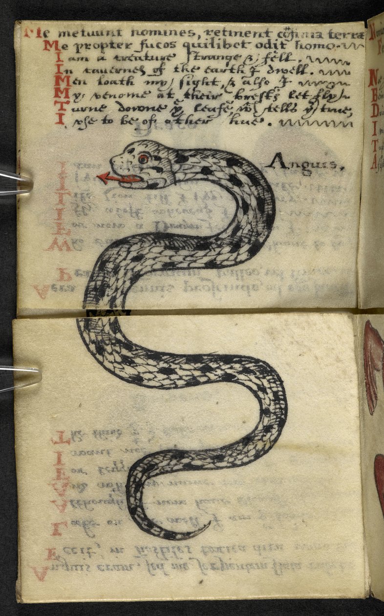 Añadir MS 57312 f.4 Game-book (tinta y color sobre papel vitela) de English School