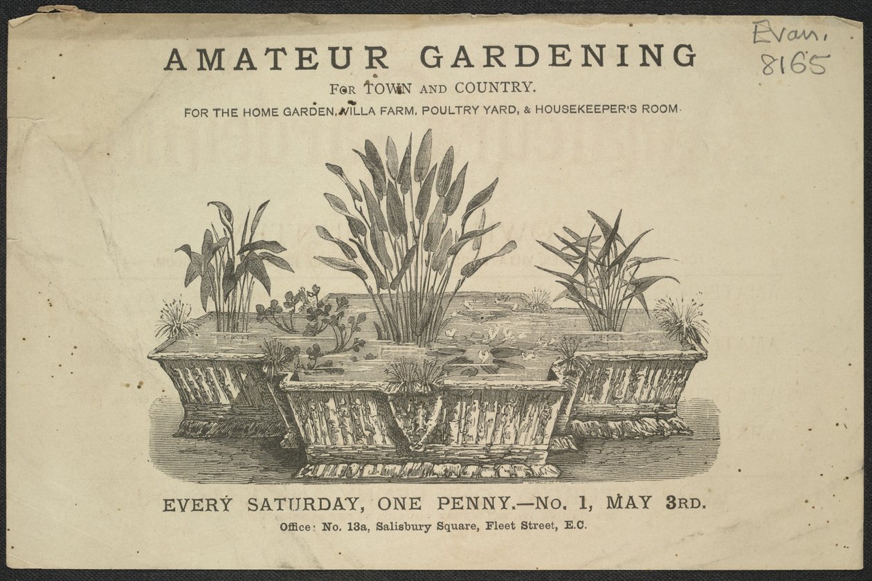 Anuncio de Archibald Neagle, agente de publicidad de English School