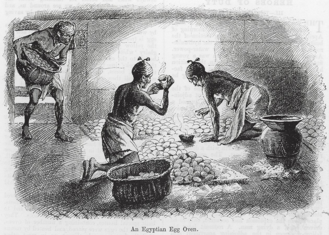 Un horno egipcio (grabado) de English School