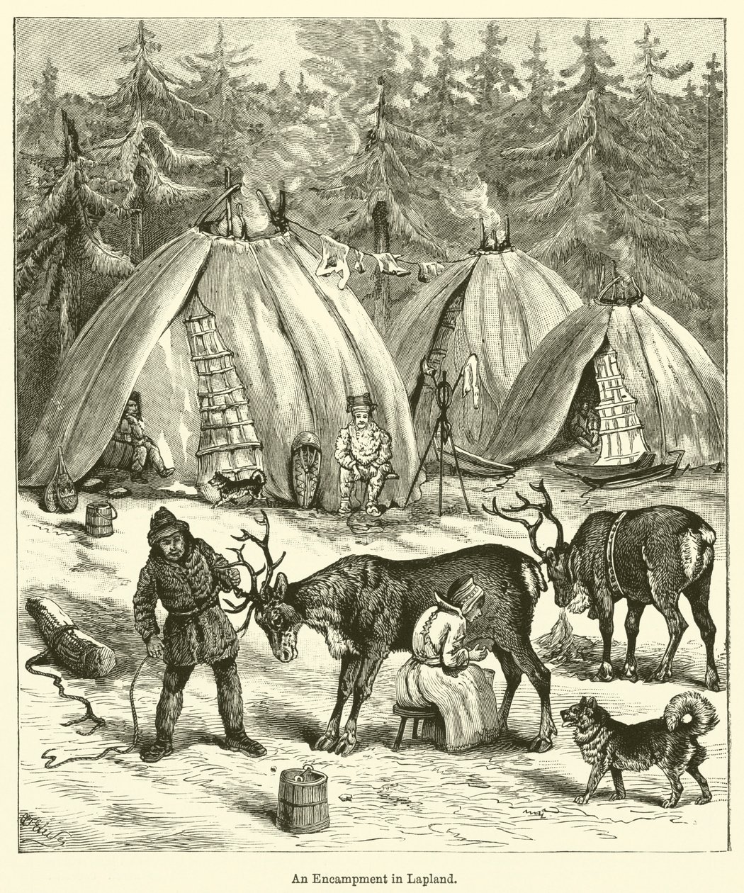 Un campamento en Laponia (grabado) de English School