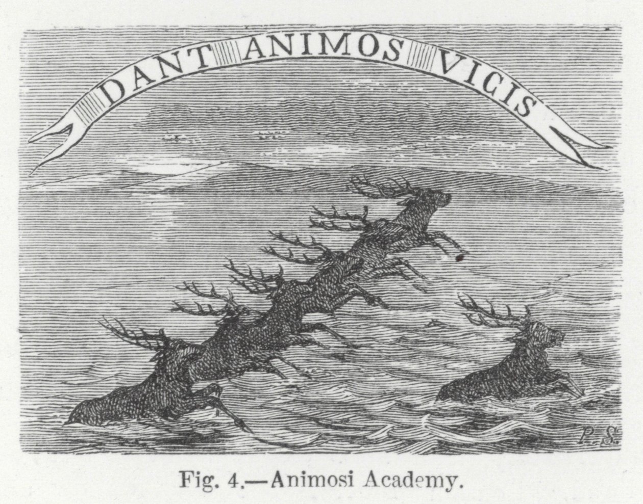 Academia Animosi (grabado) de English School
