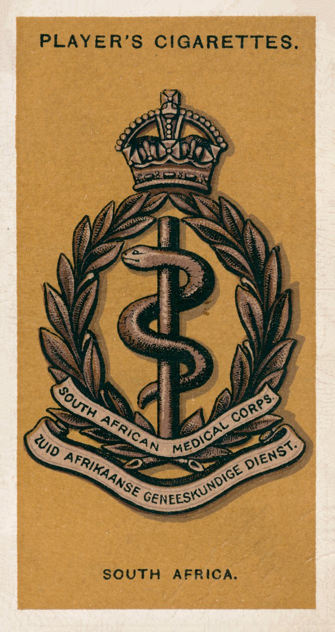 Insignias del Ejército: Sudáfrica (litografía en color) de English School