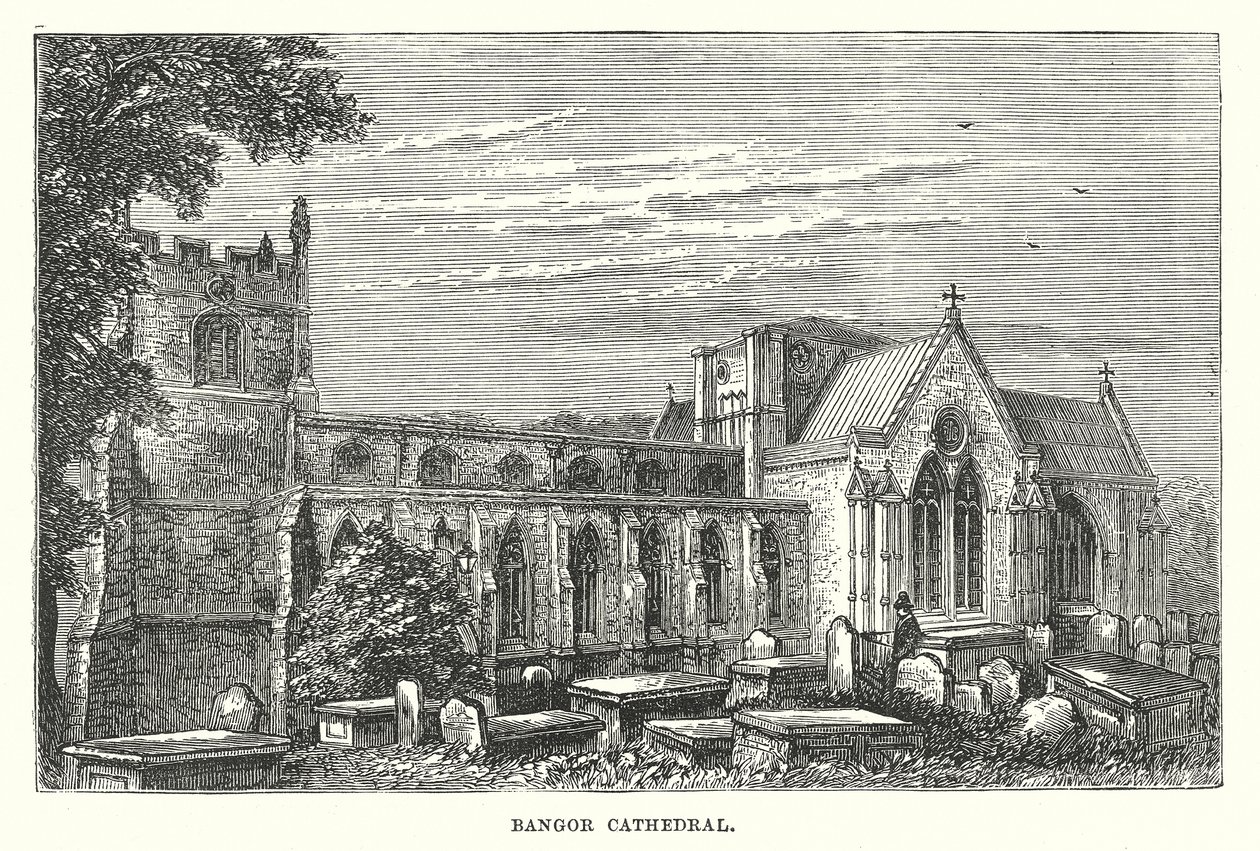 Catedral de Bangor (grabado) de English School