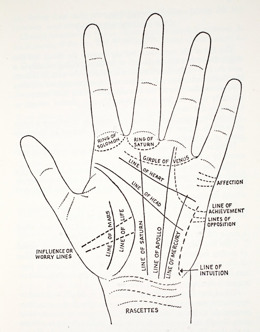 Líneas básicas y líneas menores de la mano de English School
