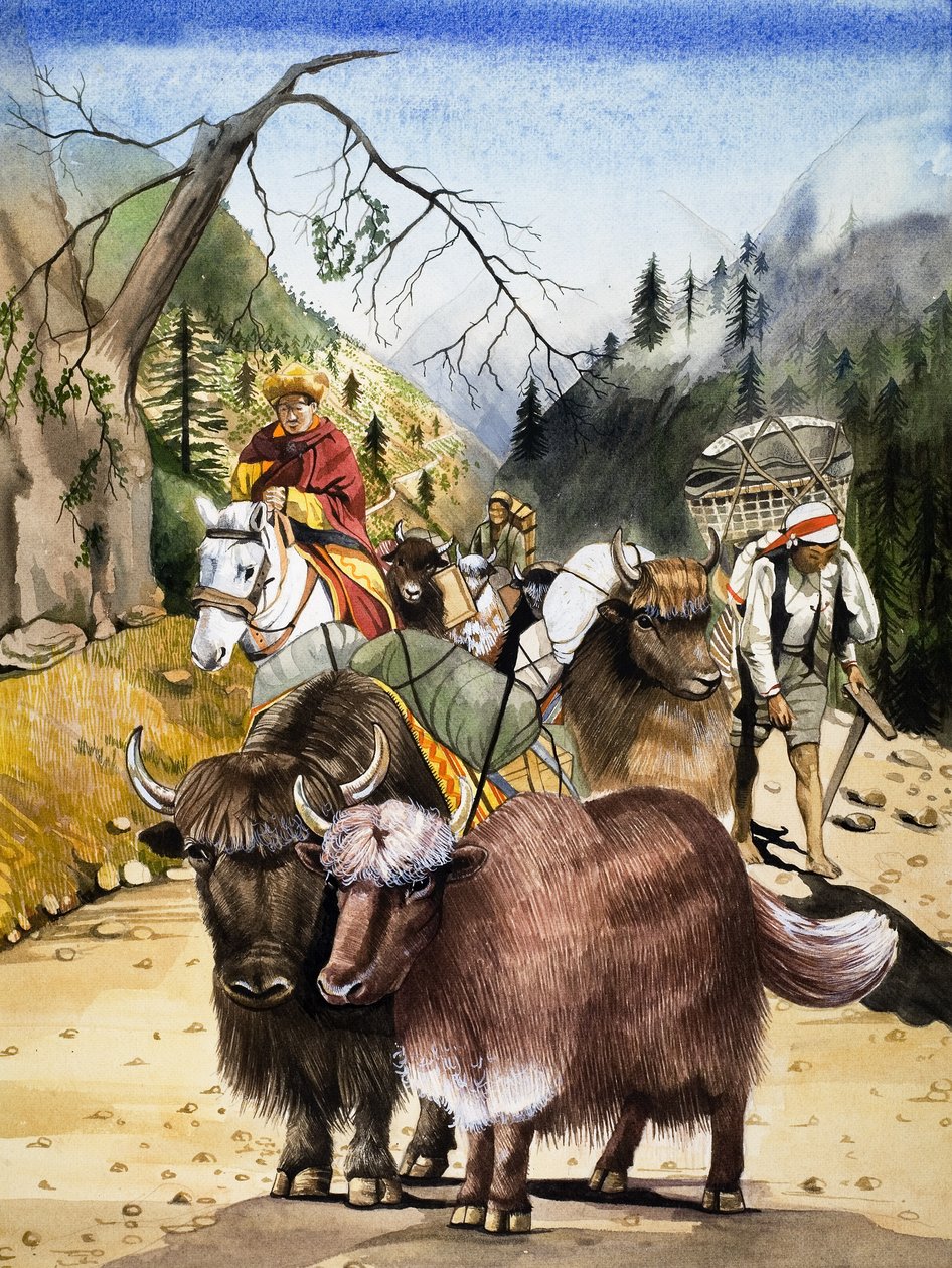 Bestias de carga, ilustración de "El reino de la naturaleza". de English School