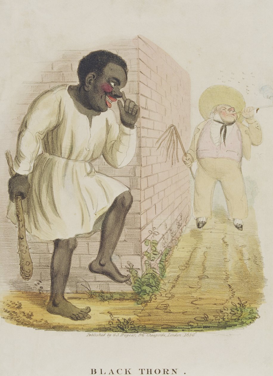 Espino negro, 1836 de English School