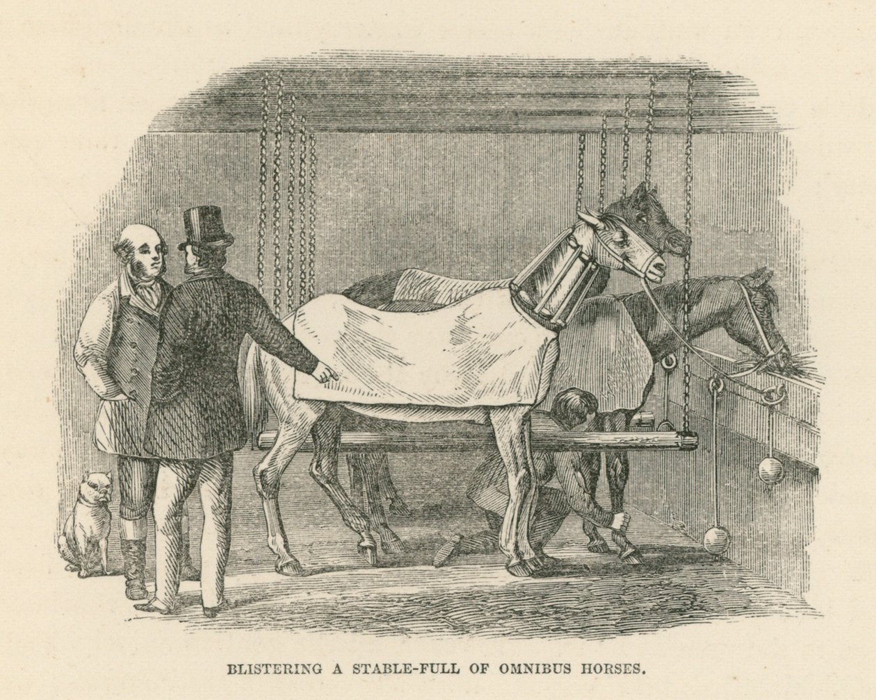 Blistering a Stable-Full of Omnibus Horses (grabado) de English School