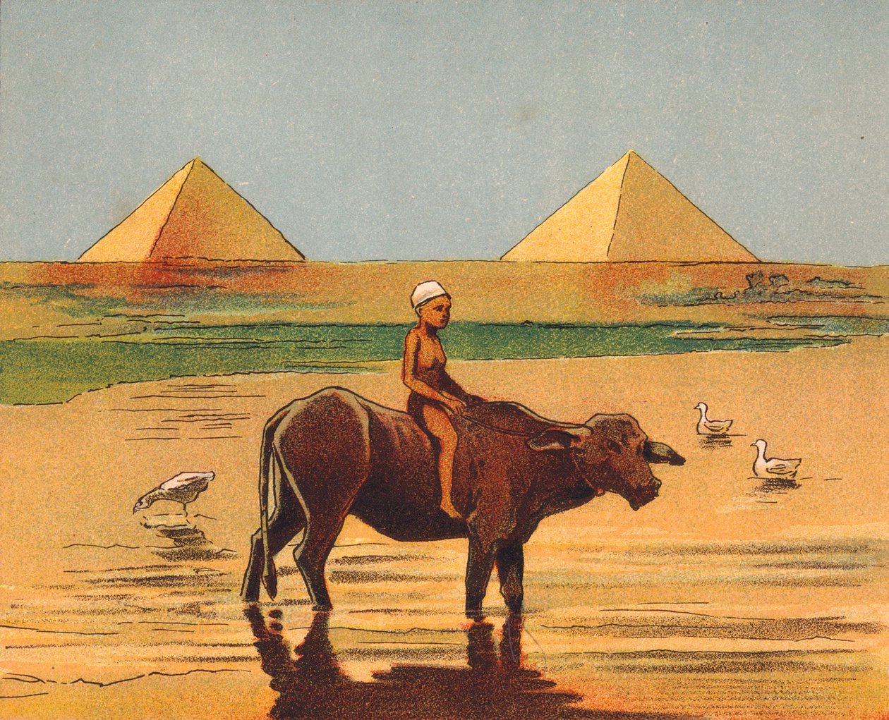 Niño montado en un buey delante de las pirámides, Egipto (litografía en color) de English School