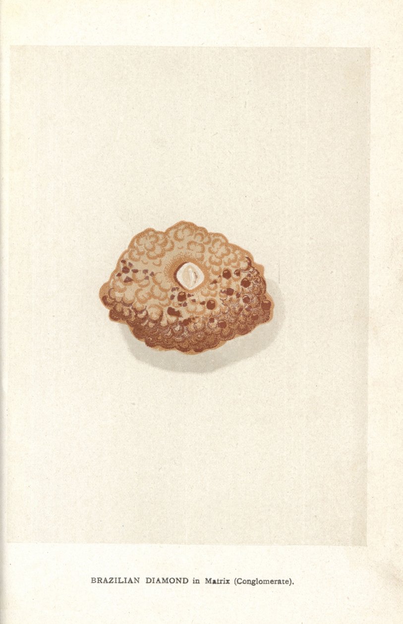 Diamante brasileño en matriz (conglomerado), de "Precious Stones and Gems" de Edwin Streeter, Londres, George Bell & Sons de English School