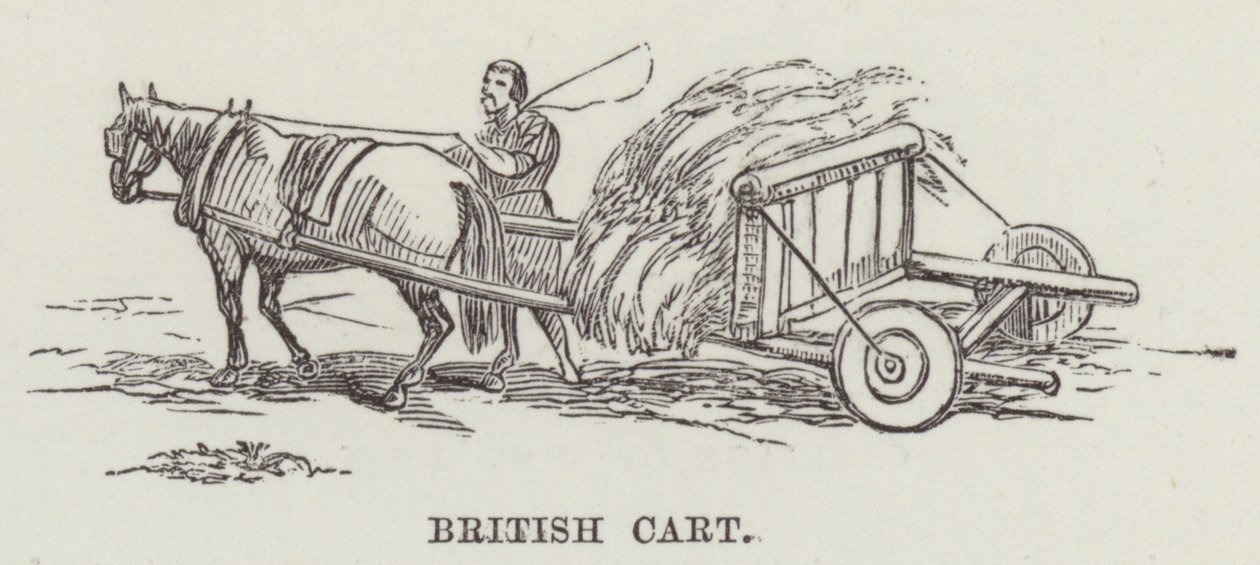 Carro británico (grabado) de English School