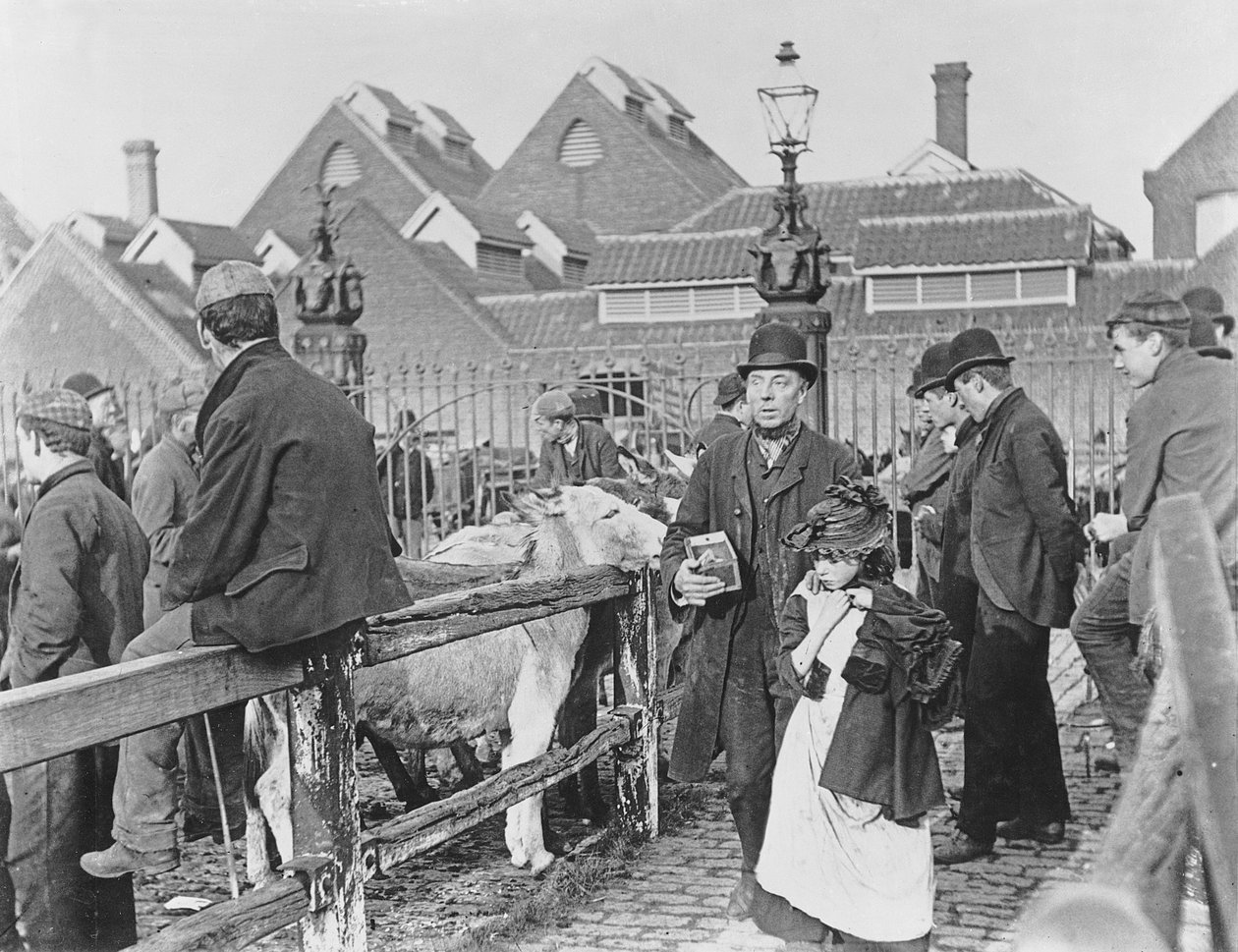 Mercado de Ganado de Aldea Británica, Victoriano, siglo XIX (fotografía) de English School