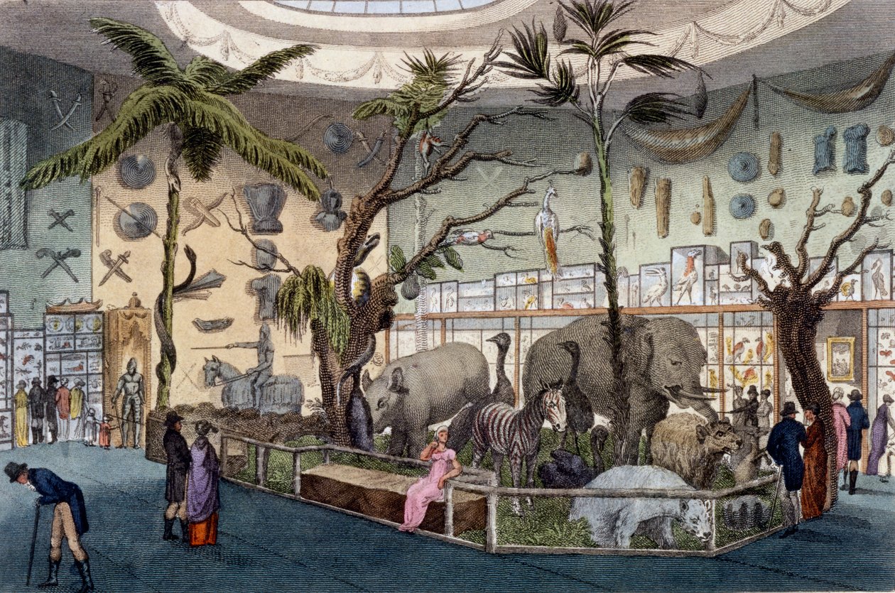 Museo Bullocks, 22 Piccadilly, Londres, del Repositorio de Artes de Ackermann, 1809 de English School