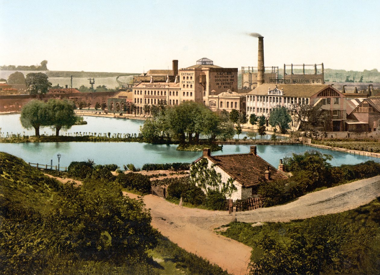 Fábrica Burroughs, Wellcome & Company, Dartford de English School