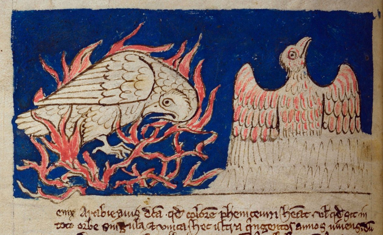 CCA-LitMs/D/10 fol. 17v Fénix, del Bestiario de English School