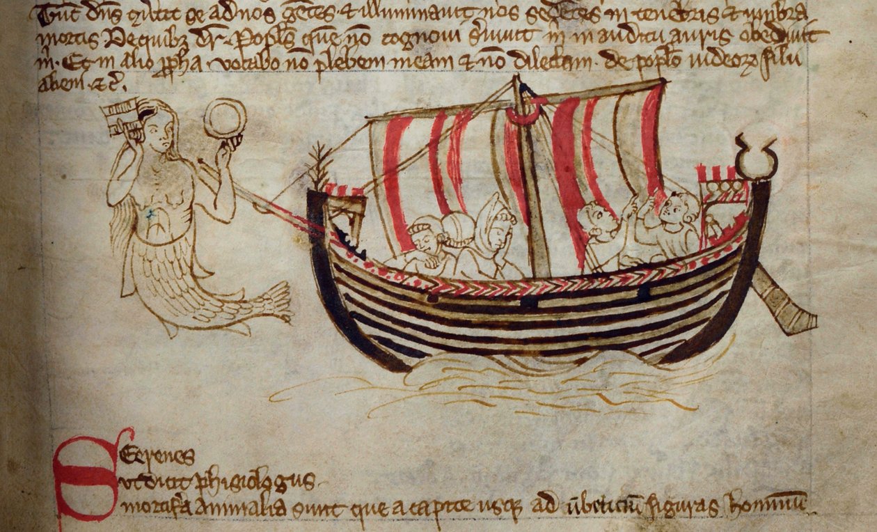 Sirena, del Bestiario de English School