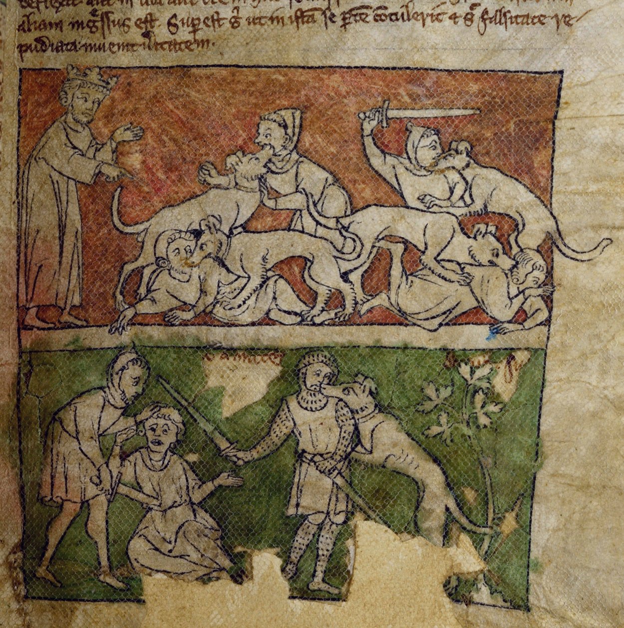 CCA-LitMs/D/10 fol. 6r Perro, del Bestiario de English School
