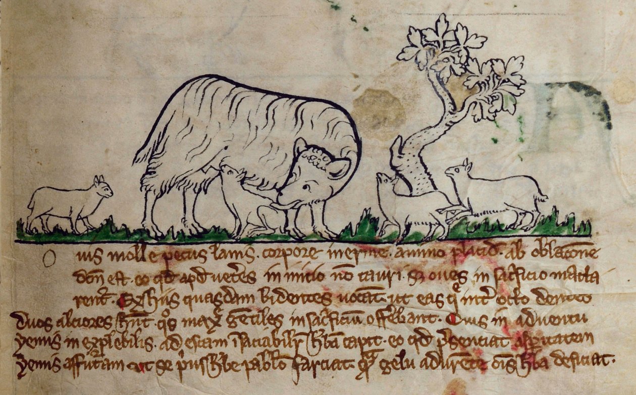Oveja, del Bestiario de English School
