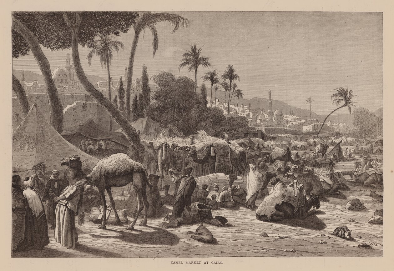 Mercado de camellos en El Cairo (grabado) de English School