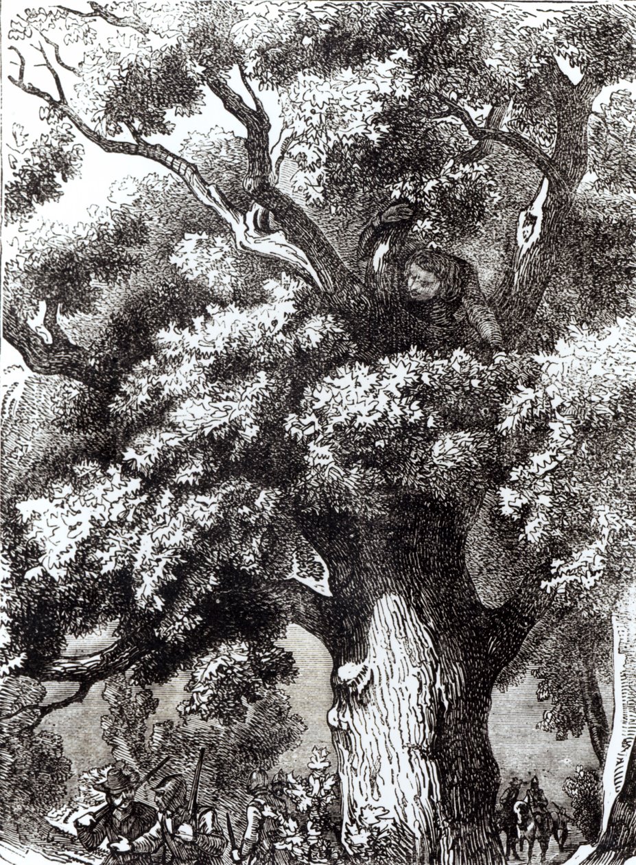 Carlos II (1630-85) escondido en el roble, 14 de octubre de 1651 de English School