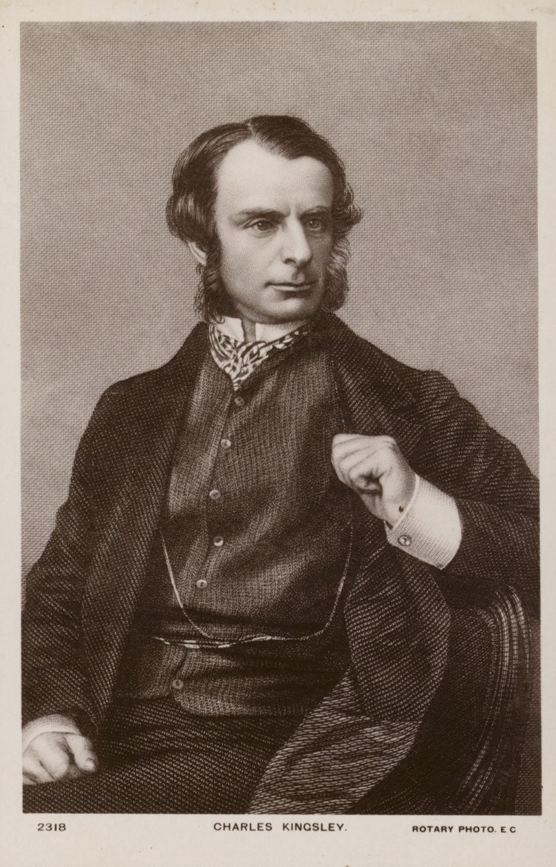 Charles Kingsley (1819-1875), clérigo, historiador y novelista inglés (litografía) de English School