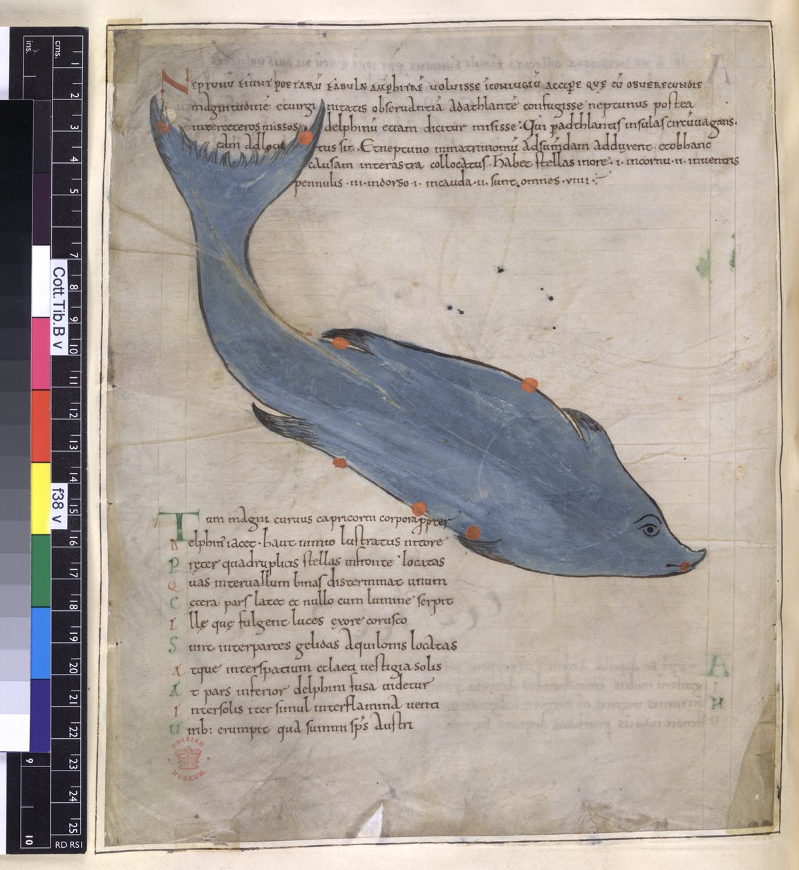 Cotton Tiberius B. V, Parte I fol.38v La constelación de Delphinus de 