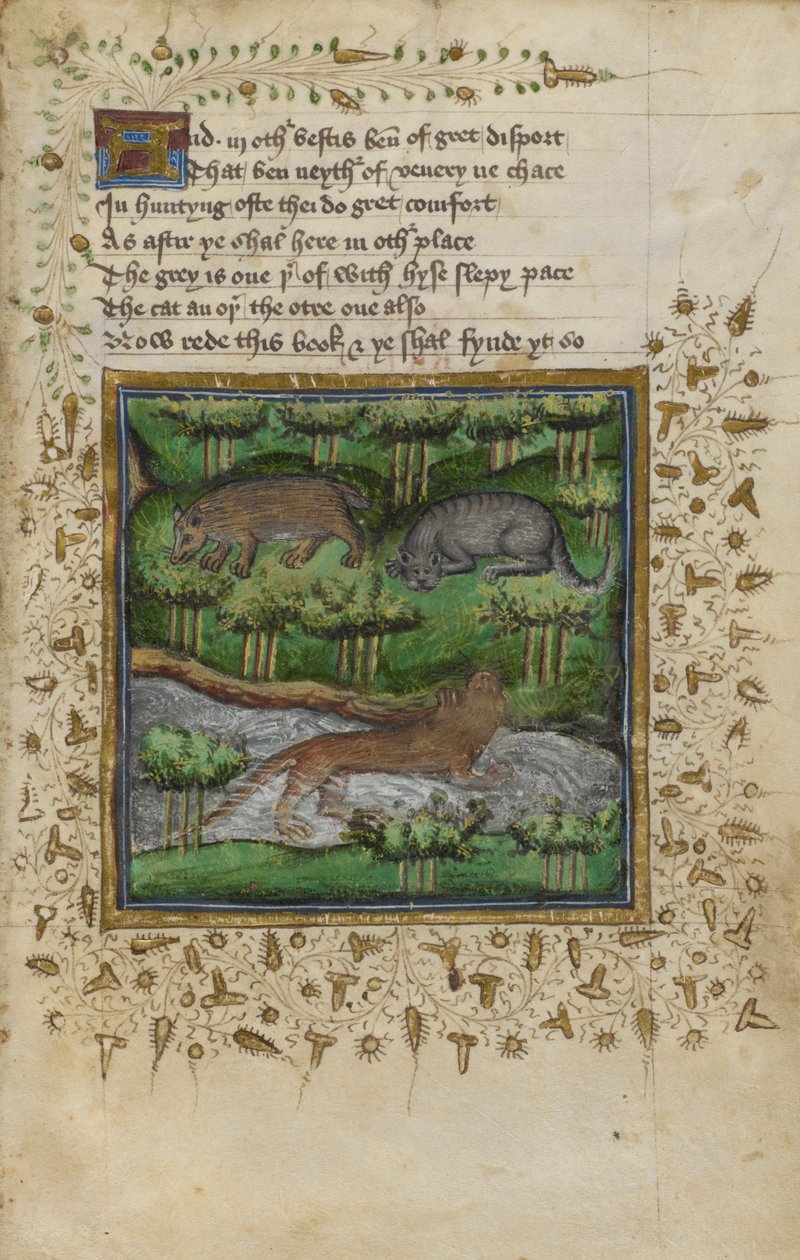 Algodón Vespasiano B. XII, f.4 Ilustración de un tejón, un gato montés y una nutria; con verso, de un 