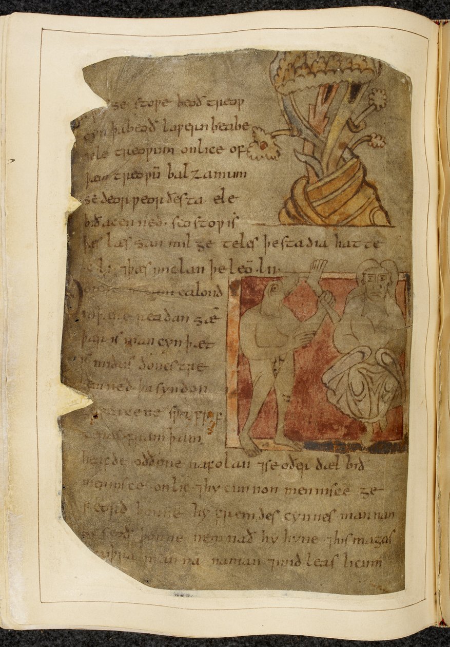 Cotton Vitellius A. XV f.103v, Un árbol del que crece el bálsamo; un donestre, un hombre con cabeza de bestia, a la izquierda sosteniendo una pierna y un pie humanos, y una persona a la derecha, ilustración de Beowulf, del 