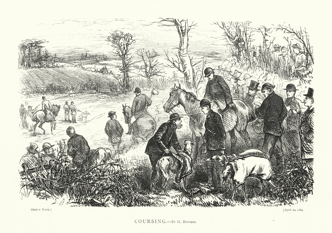Coursing (grabado) de English School