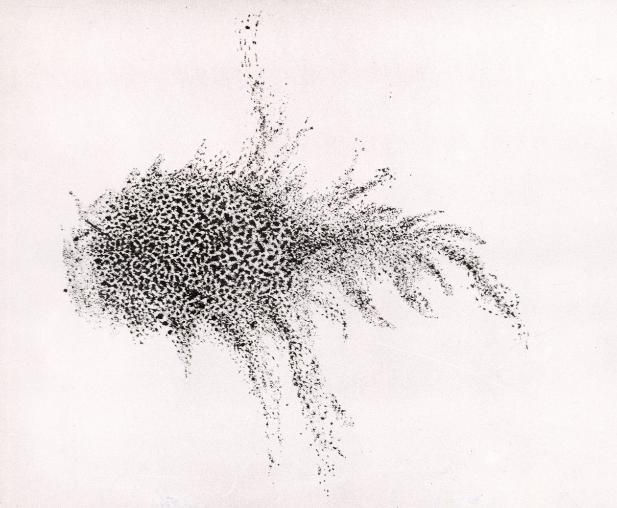 Nebulosa del Cangrejo" por William Parsons, de "Observations on some of the Nebulae" de "Philosophical Transactions of the Royal Society". de English School