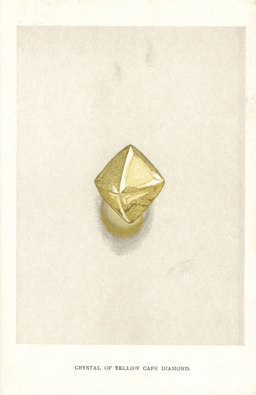 Cristal de Yellow Cape Diamond, de "Precious Stones and Gems" de Edwin Streeter, Londres, George Bell & Sons de English School
