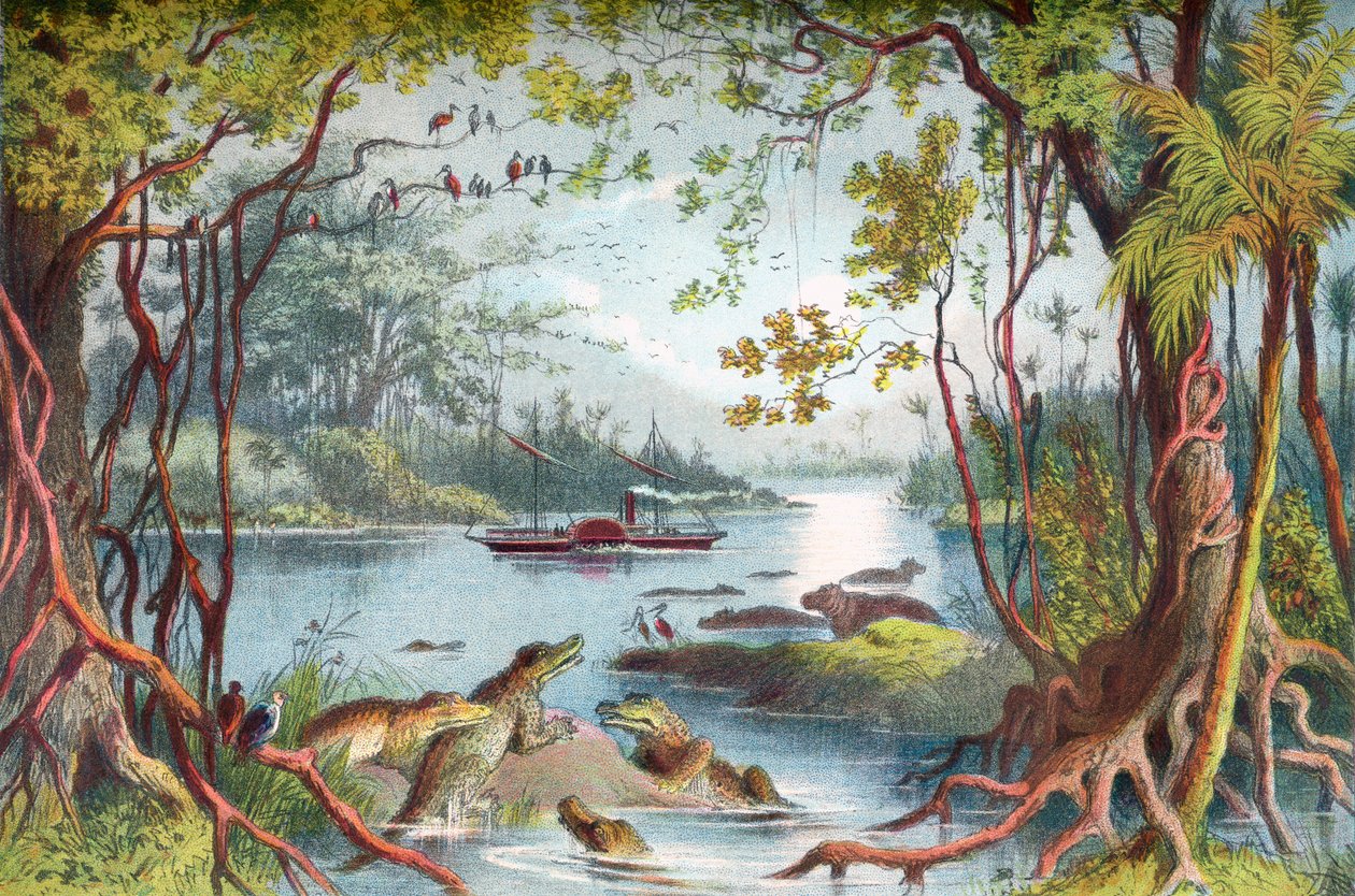 El barco Ma-Robert de David Livingstone en el río Zambeze, África, durante su expedición al Zambeze en el siglo XIX. Extraído de The Life and Explorations of Dr. Livingstone, publicado hacia 1875. de English School