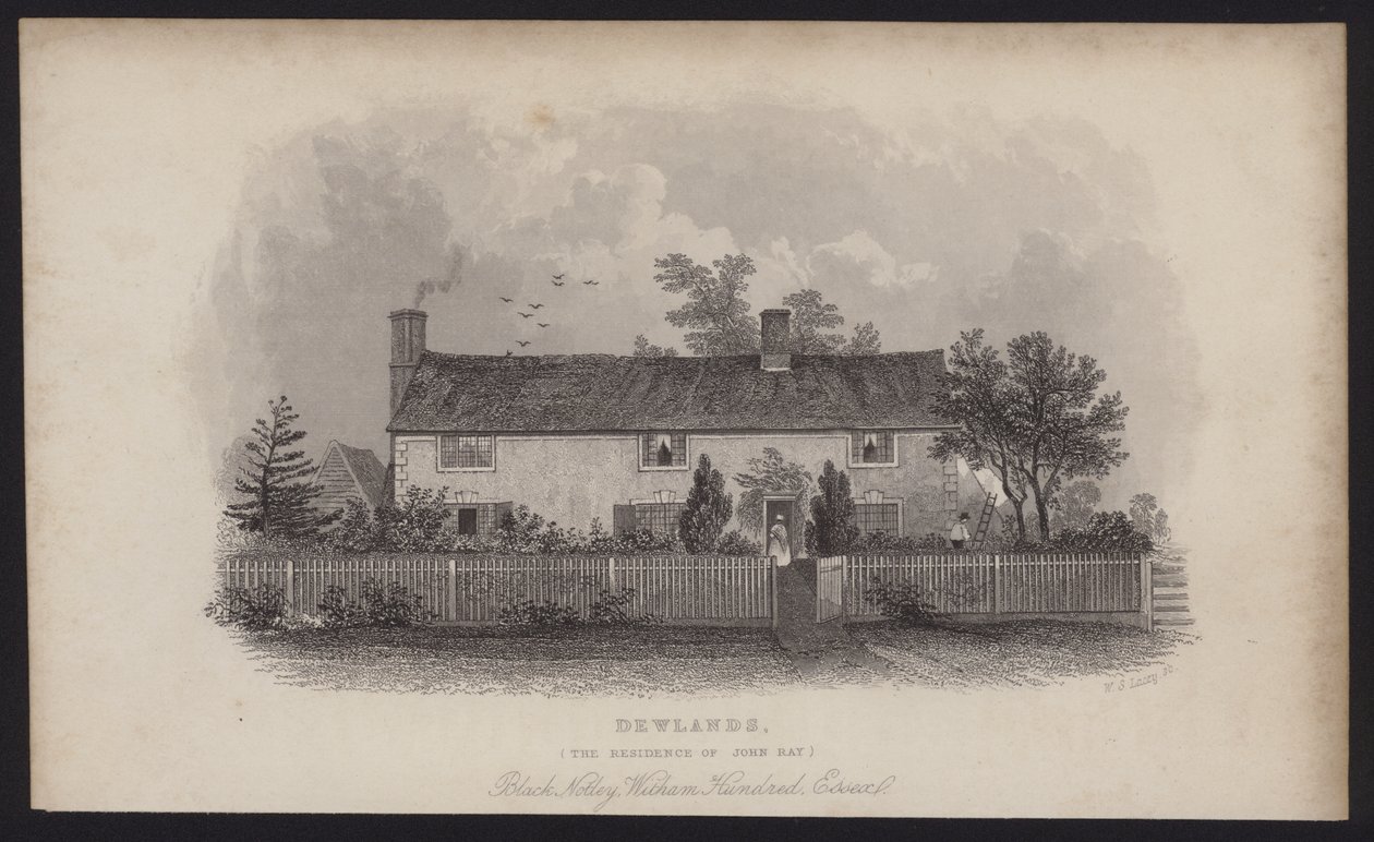 Dewlands, residencia de John Ray, Black Notley, Witham Hundred, Essex (grabado) de English School