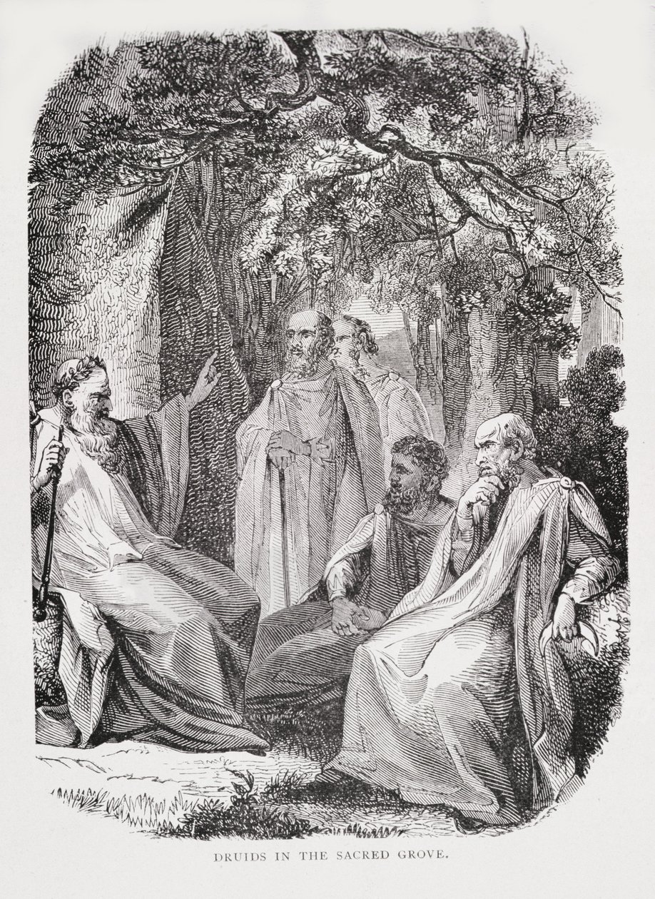 Druidas en el bosque sagrado, de La historia de Francia, por Emile de Bonnechose, publicado por Ward, Lock and Co, Londres de English School
