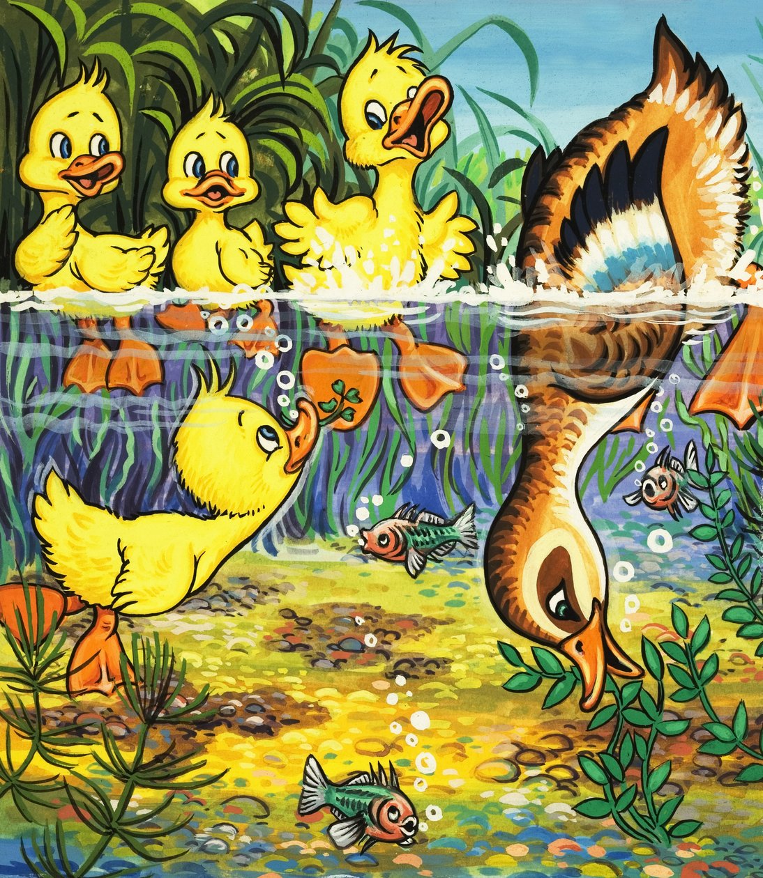 Pato y patitos (gouache sobre papel) de English School