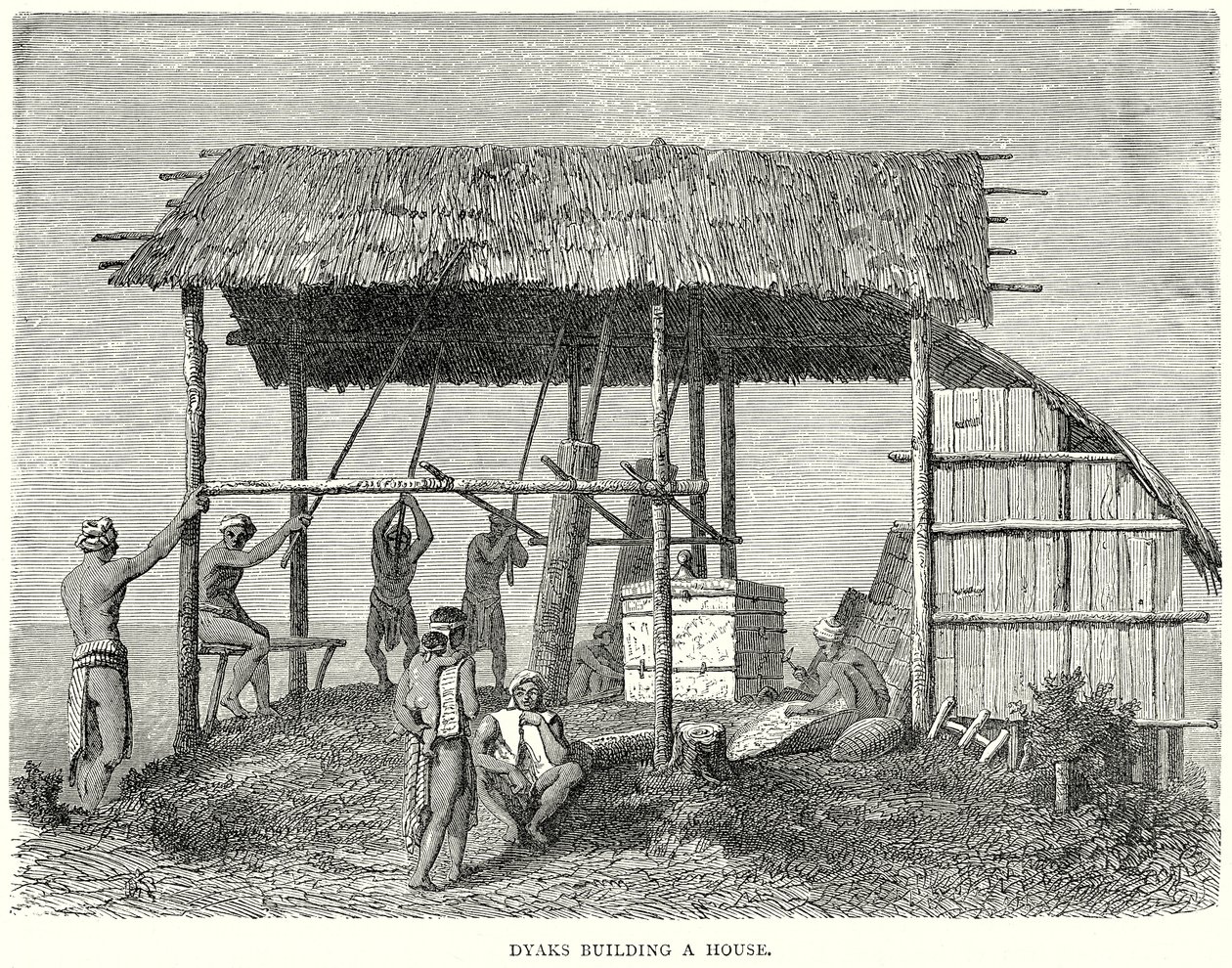 Dyaks construyendo una casa (grabado) de English School