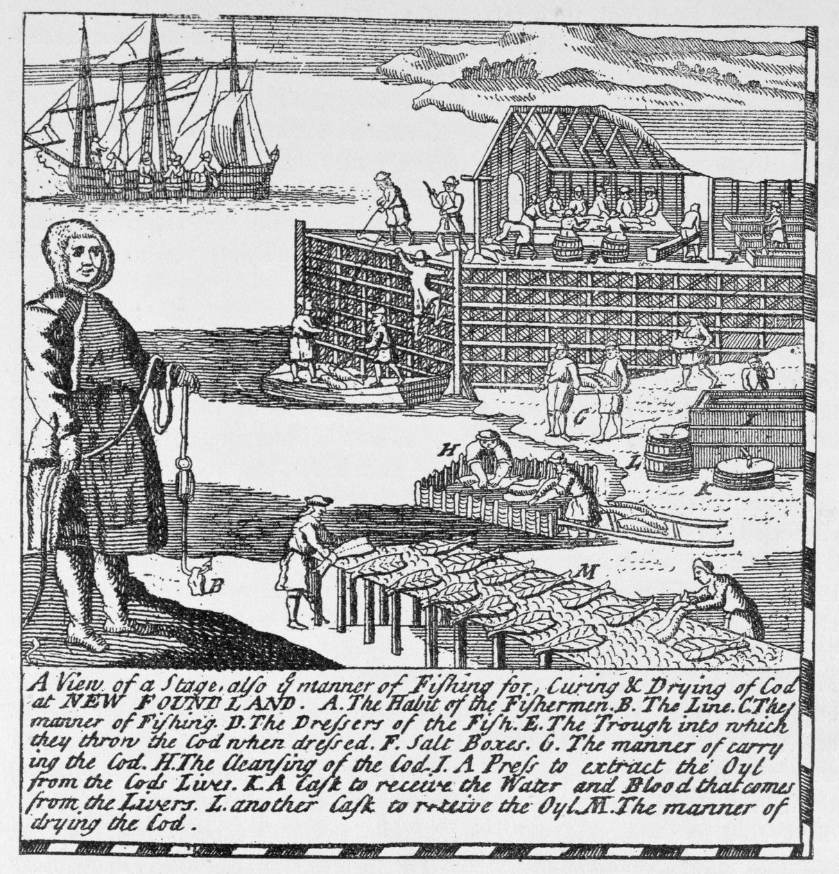 Primeras etapas de pesca, ilustración del Volumen IV de 