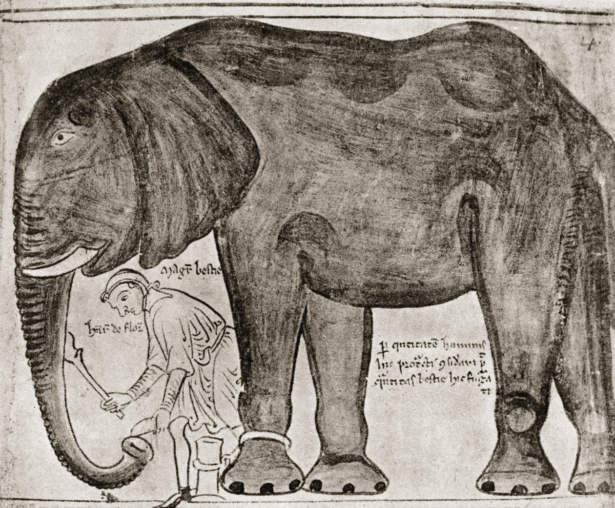 Elefante enviado por San Luis a Enrique III, de la "Historia Major", reproducido en "English Historians". de English School