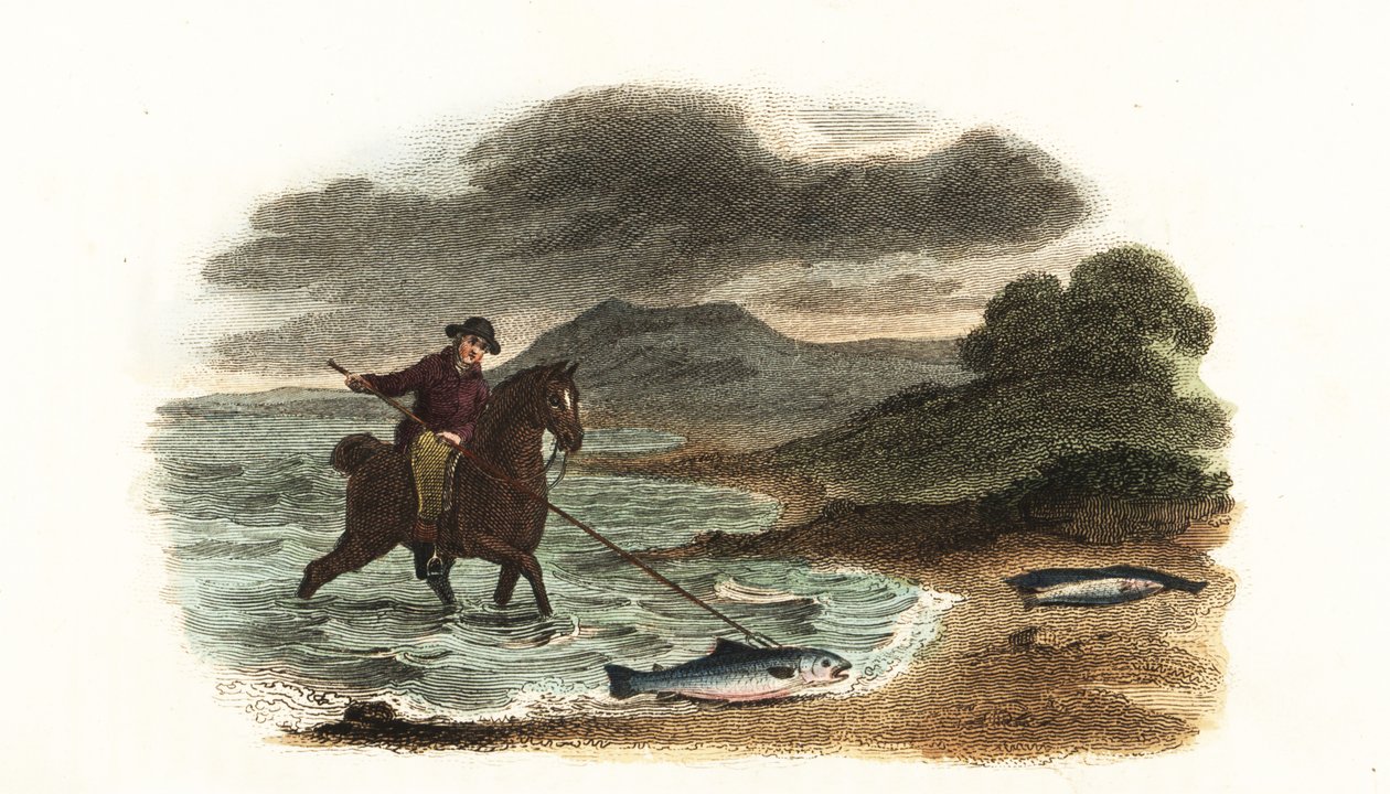 Pescador inglés Graham cazando salmones en los bajíos montado a caballo con una lanza de 5 metros y 3 puntas de English School