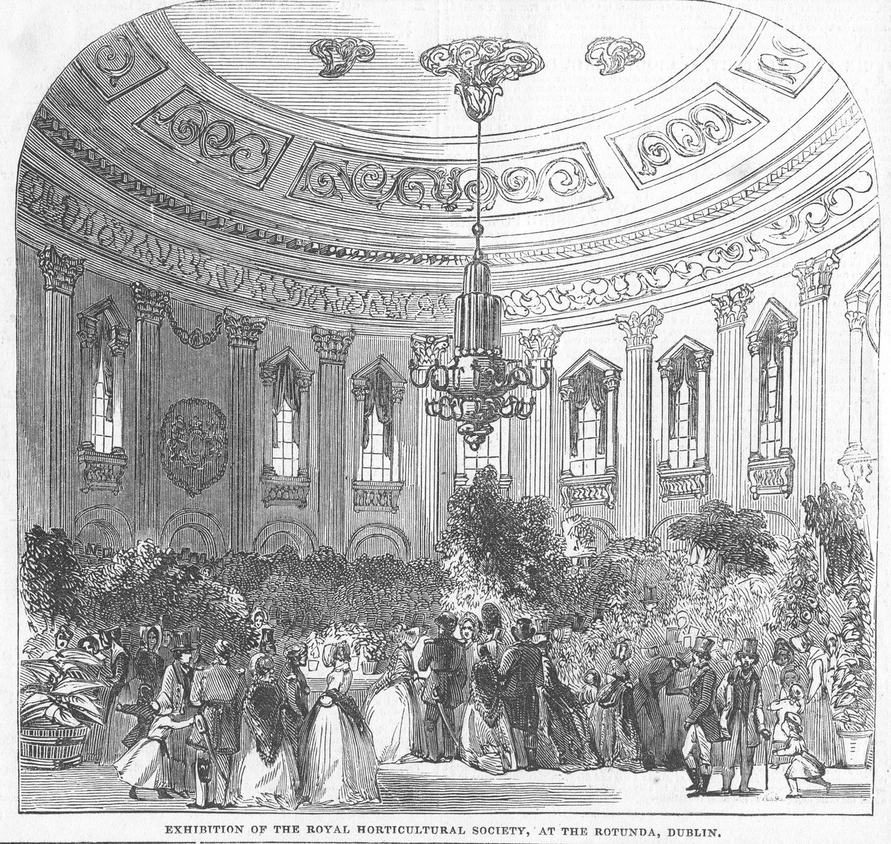 Exposición de la Sociedad Real de Horticultura, en la Rotonda, Dublín, ilustración de 