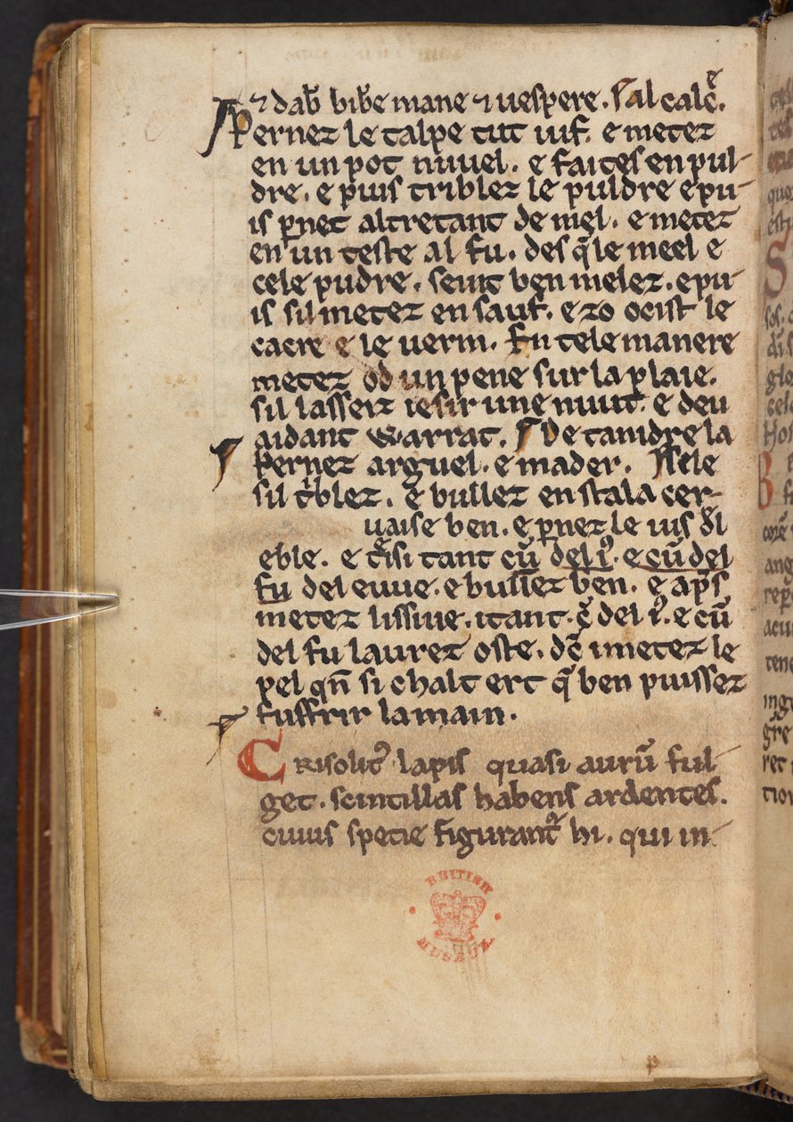 Extractos de la Historia Anglorum de Enrique de Huntingdon, Cotton MS Titus D XXIV, f.132v (vitela) de English School
