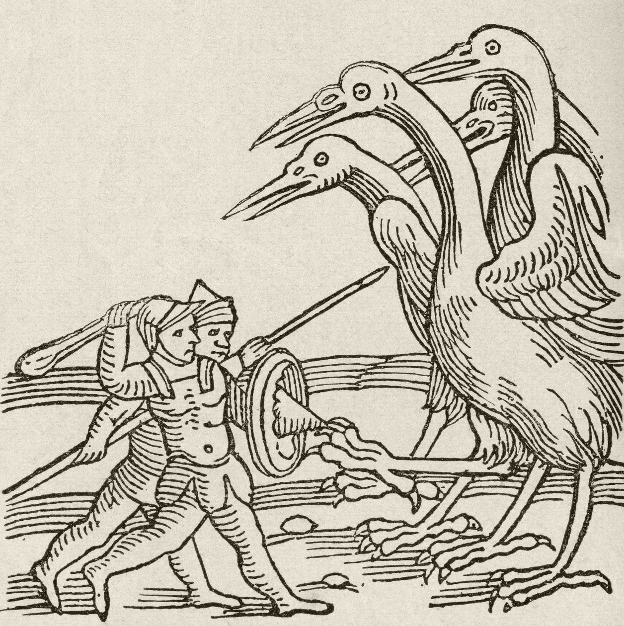 Lucha entre pigmeos y grullas. Una historia de la mitología griega. De The Strand Magazine, publicado en 1897. de English School