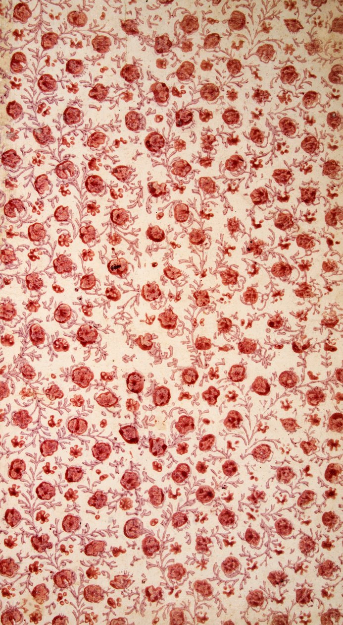 Papel de guarda floral grabado a mano de English School
