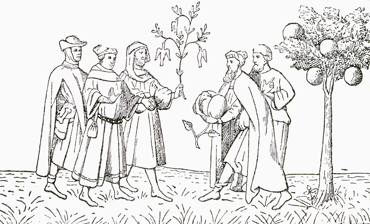 Fraile Oderic de Pordenone sosteniendo una rama de un árbol en el que crecen pájaros, mostrado a su vez por el rey local, el Árbol de Cordero de Tartaria, mostrando un cordero emergiendo, ilustración de The Strand Magazine de English School