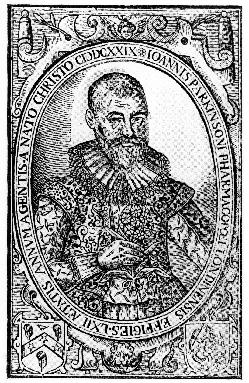 Frontispicio de Paradisi in Sole Paradisus Terrestris por John Parkinson, publicado en 1629 de English School