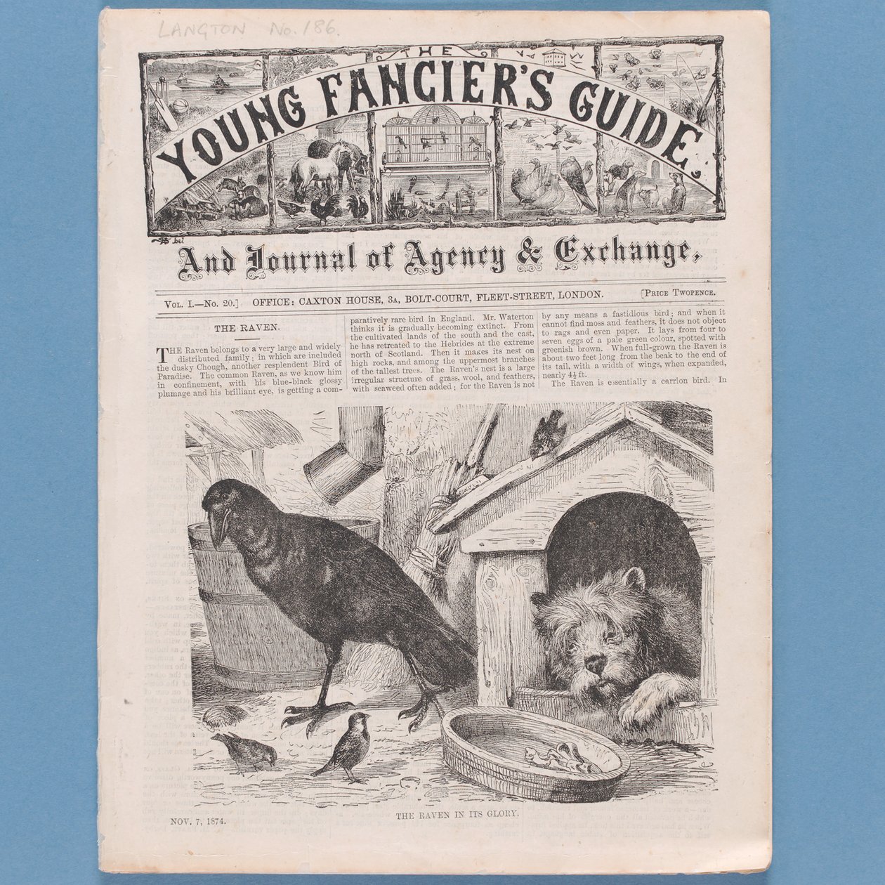 Frontispicio de La Guía del Joven Aficionado, 1874 de English School