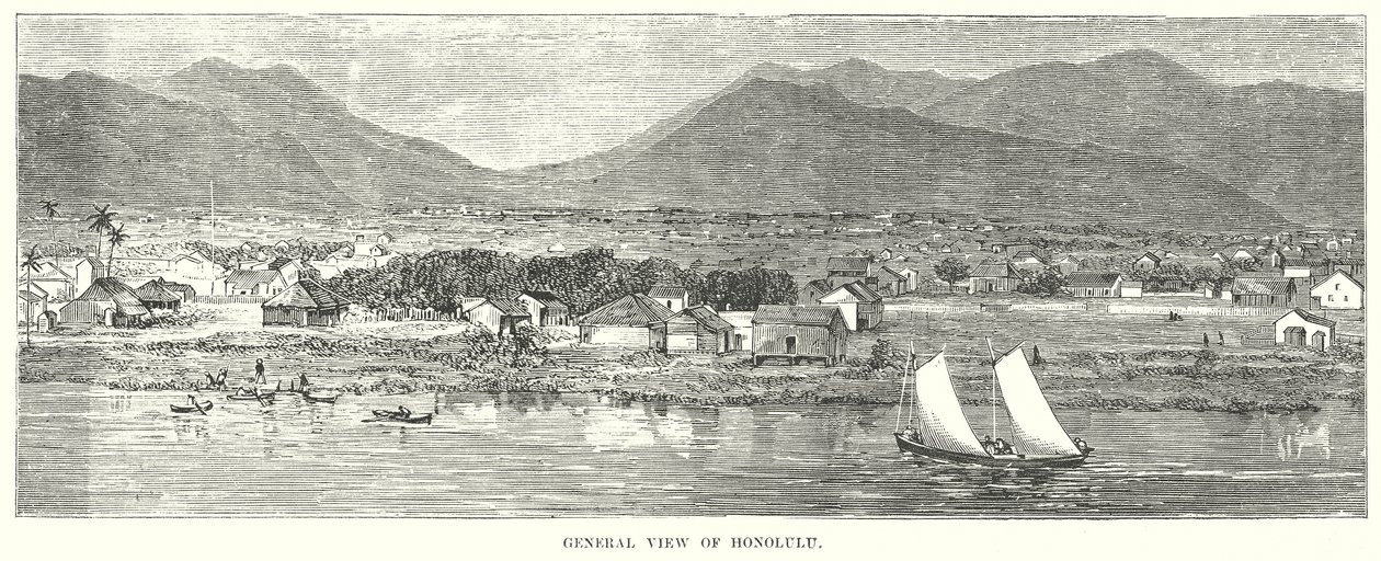 Vista general de Honolulu (grabado) de English School